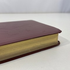 Book of Common Worship Daily Prayer 1993 Leather Westminster John Knox Press