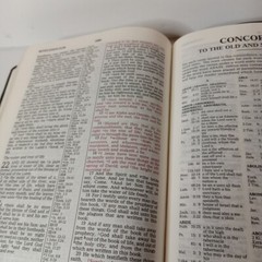 1994 Reference KJV Concordance Leather Red Letter Bible Zondervan Blue Vtg