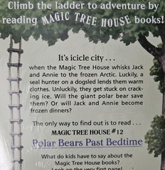 New Sealed Magic Tree House 4 PB Books Dolphins At Daybreak Lions At Lunchtime