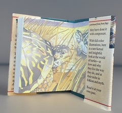 Turtles in Fact, Folklore, and Myth Hardback Book Pocket Size Richard Nicholls