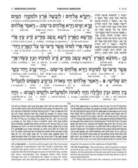 Artscroll Interlinear Complete Chumash Torah Bible Sefard Travel Edition