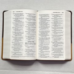 NIV Large Print Bible Leathersoft Chocolate Amber Zondervan Personal Size Ribbon