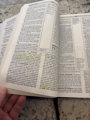 Fire Bible Global Study Edition New International Version Life Publishers 2009