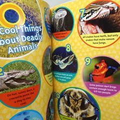 National Geographic Kids Book Lot of 6 RL 2-3 Early Readers Animals Rocks Meteor