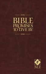 Bible Promises to Live By – Paperback By Beers, Ronald A. – GOOD