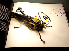 Insect Lab by Mike Libby