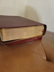 Nkjv, Thompson Chain-Reference Bible, Genuine Leather, Calfskin, Burgundy, …