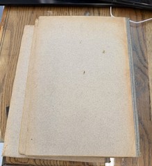 British Warblers History Problems Their Lives H. Eliot Howard 1907 1909 1909