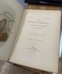 British Warblers History Problems Their Lives H. Eliot Howard 1907 1909 1909