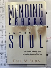Mending Cracks in the Soul – Dale M. Sides – 2002 – 126 pages – Healing Wounds