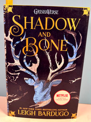 🔥SHADOW & BONE by Leigh Bardugo 1st Ed. MacMillan PB 2012🔥