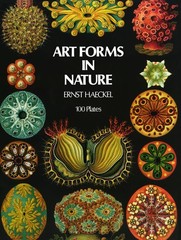 Art Forms in Nature (Dover Pictorial Archive) – paperback Haeckel, Ernst