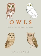 Matt Sewell Owls (Hardback)