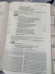 NIV Life Application Study Bible Third Edition Large Print Red Letter Lay-Flat