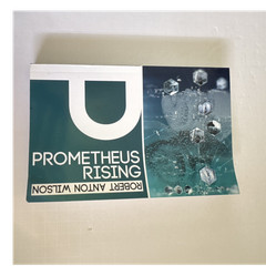 Robert Anton Wilson – Prometheus Rising (2016, Trade Paperback) Hilaritas-1