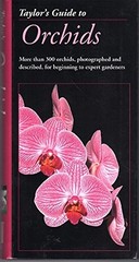Orchids, Judywhite