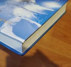 Physics: Principles with Applications (5th Edition) – Textbook