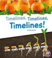 Timelines, Timelines, Timelines! (Displaying Information)