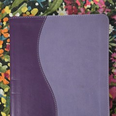 The Scriptures ISR softcover [Brand New]