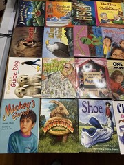 Lot of 20 Rigby Literacy Levels 15-17 Readers-Homeschool