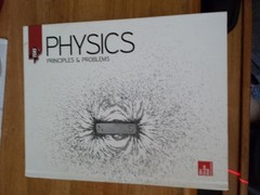 Teks Physics: Principles & Problems Hardcover,BRAND NEW