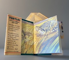 Turtles in Fact, Folklore, and Myth Hardback Book Pocket Size Richard Nicholls