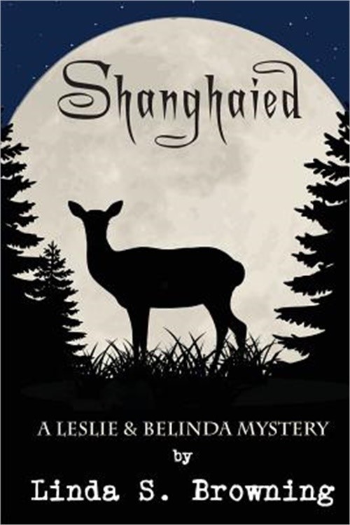 Shanghaied (Paperback or Softback)