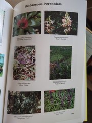 Betrock’s Reference Guide to Florida Landscape Plants by Timothy Broschat