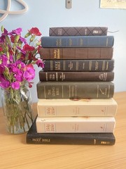 Bible lot (read description)
