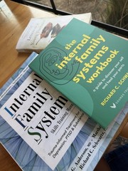 Self Healing Workbook Internal Family Systems Guide Parts Therapy Paperback, New