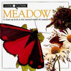 Meadow (Look Closer) – Hardcover By Taylor, Barbara – VERY GOOD