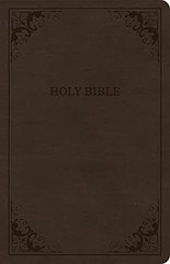 CSB Thinline Bible, Brown Leat – VERY GOOD