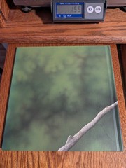 VERDI By Janell Cannon – Hardcover *Excellent Condition* 1st 1st