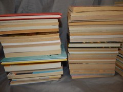 110 kids chapter BULK LOT junie b jones magic tree house narnia MOST SCHOLASTIC