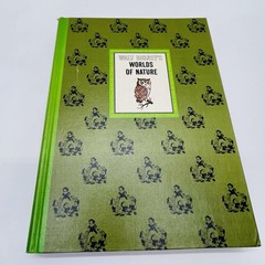 The Wonderful Worlds of Walt Disney 4 Book Boxed Set Golden Press Vintage 1965