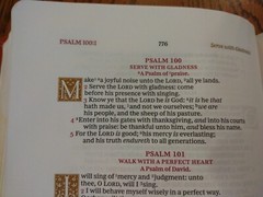 KJV Wide-Margin Reference Bible Sovereign Collection Leathersoft Brown Red lette