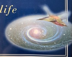 10000 Dreams Interpreted Book, By Gustavus Miller Wonderfully Illustrated