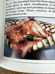 The Biology Husbandry and Health Care of Reptiles Vols. 1, 2 & 3 HC/DJ – VGC