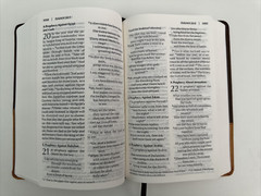 NIV Bible Zondervan Personal Size Large Print Leathersoft Chocolate/Amber 2011