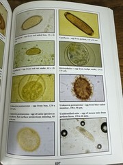 The Biology Husbandry and Health Care of Reptiles Vols. 1, 2 & 3 HC/DJ – VGC
