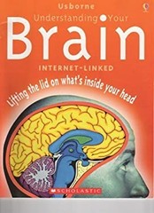 Understanding Your Brain Paperback Rebecca Treays