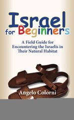 Israel for Beginners : A Field Guide for Encountering the Israeli