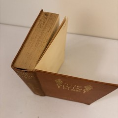 The Devine Fire 1904 By May Sinclair Published Henry Holt And Company