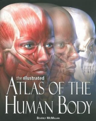 Illustrated Atlas of the Human Body by McMillan, Beverly