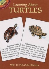 Learning about Turtles by Sovak, Jan