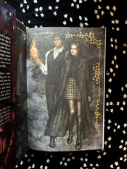 FairyLoot Immortal Consequences by I.V. Marie – Exclusive Edition