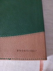 TLV Thinline Bible, Holy Scriptures, Grove/Sand, Tree Design Duravella by Bake