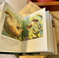 Turtles in Fact, Folklore, and Myth Hardback Book Pocket Size Richard Nicholls