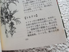 Tree Knowledge Encyclopedia (Heibonsha) Heibonsha (Editor)