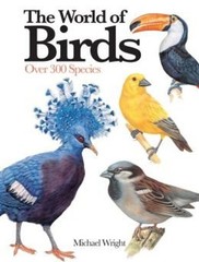 Expert Guides: Birds Michael Wright